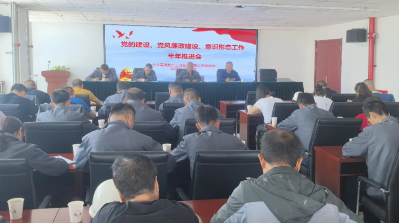 工投公司黨委召開(kāi)黨的建設(shè)、黨風(fēng)廉政建設(shè)、意識(shí)形態(tài)工作半年推進(jìn)會(huì)
