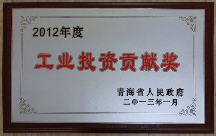 集團榮獲2012年度青海省人民政府“工業(yè)投資貢獻(xiàn)獎”